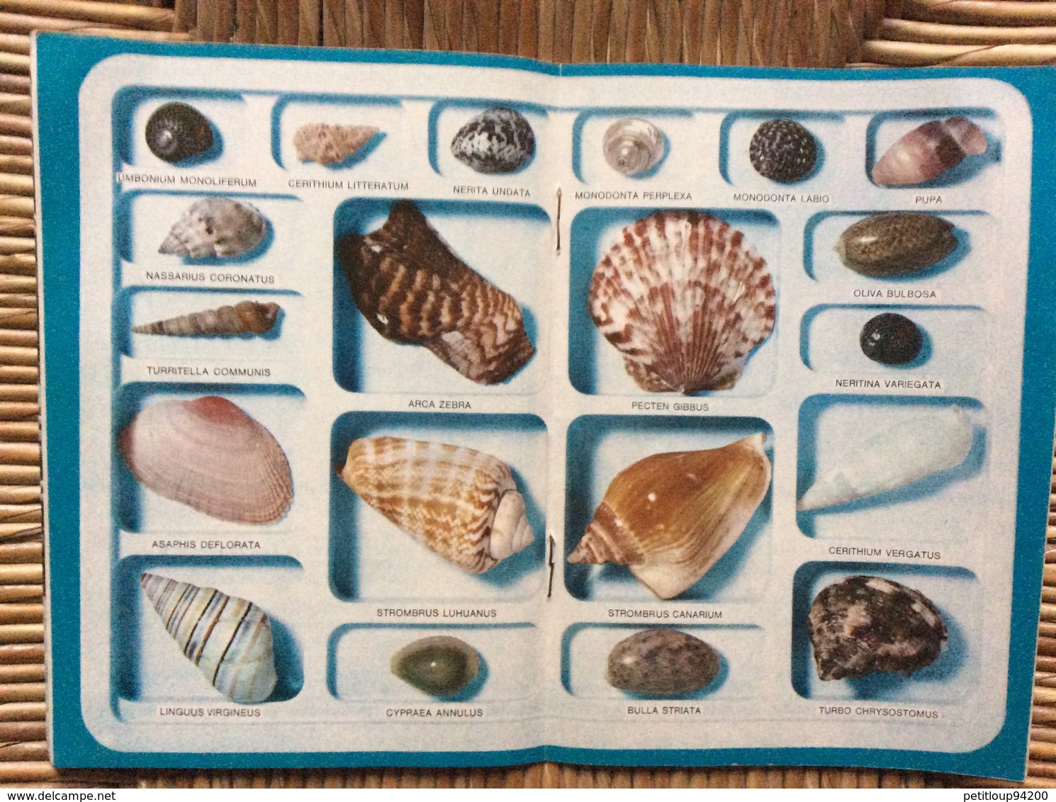 LIVRET PUBLICITAIRE  SHELL  Les Coquillages de Toutes les Mers du Monde