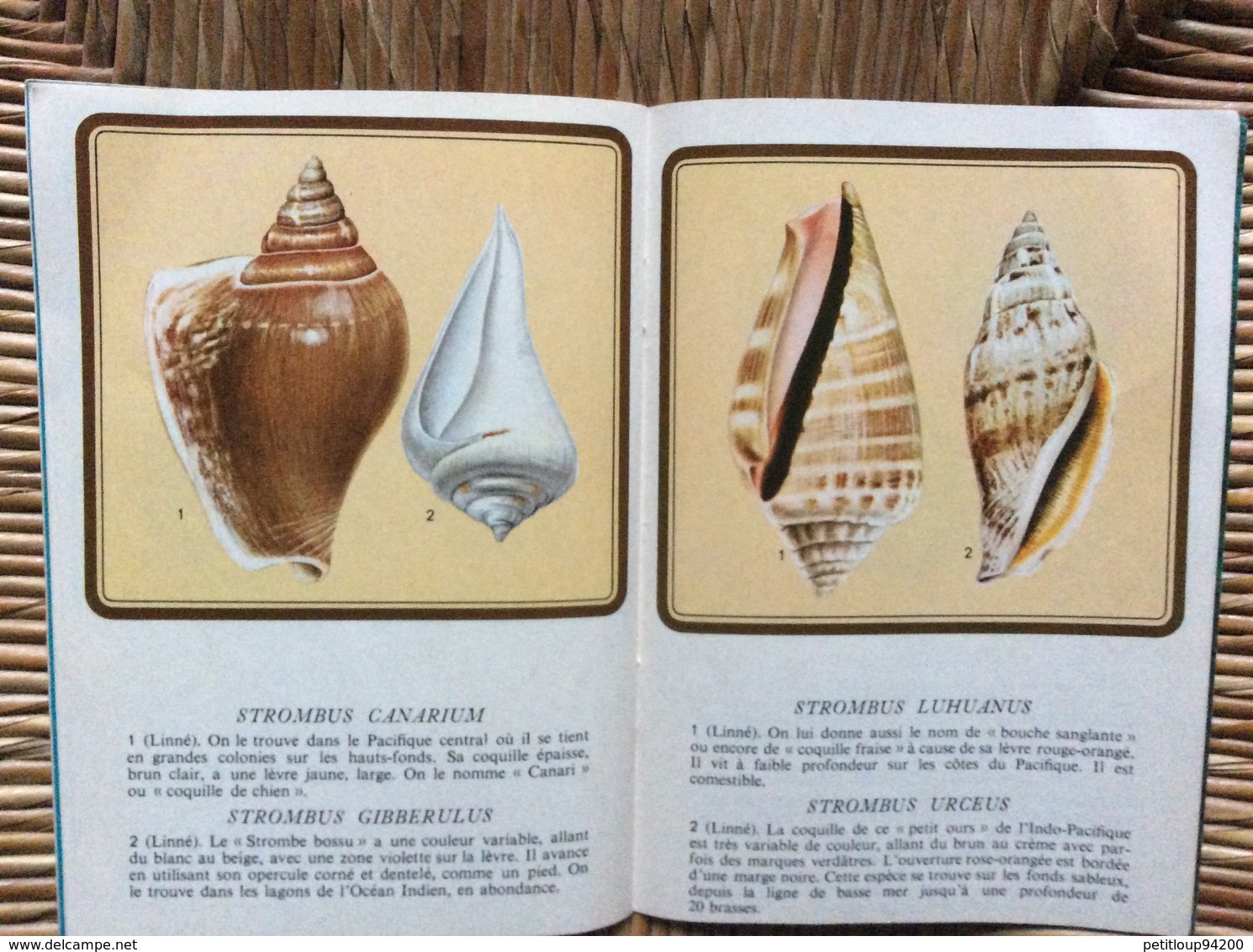 LIVRET PUBLICITAIRE  SHELL  Les Coquillages de Toutes les Mers du Monde