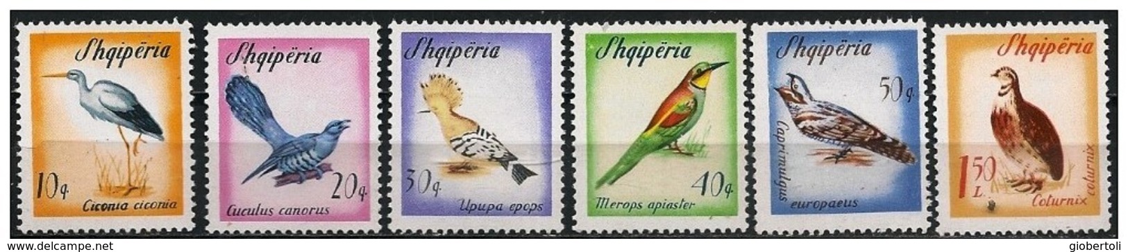 Albania/Albanie: Uccelli Diversi, Different Birds, Différentes Oiseaux - Altri & Non Classificati
