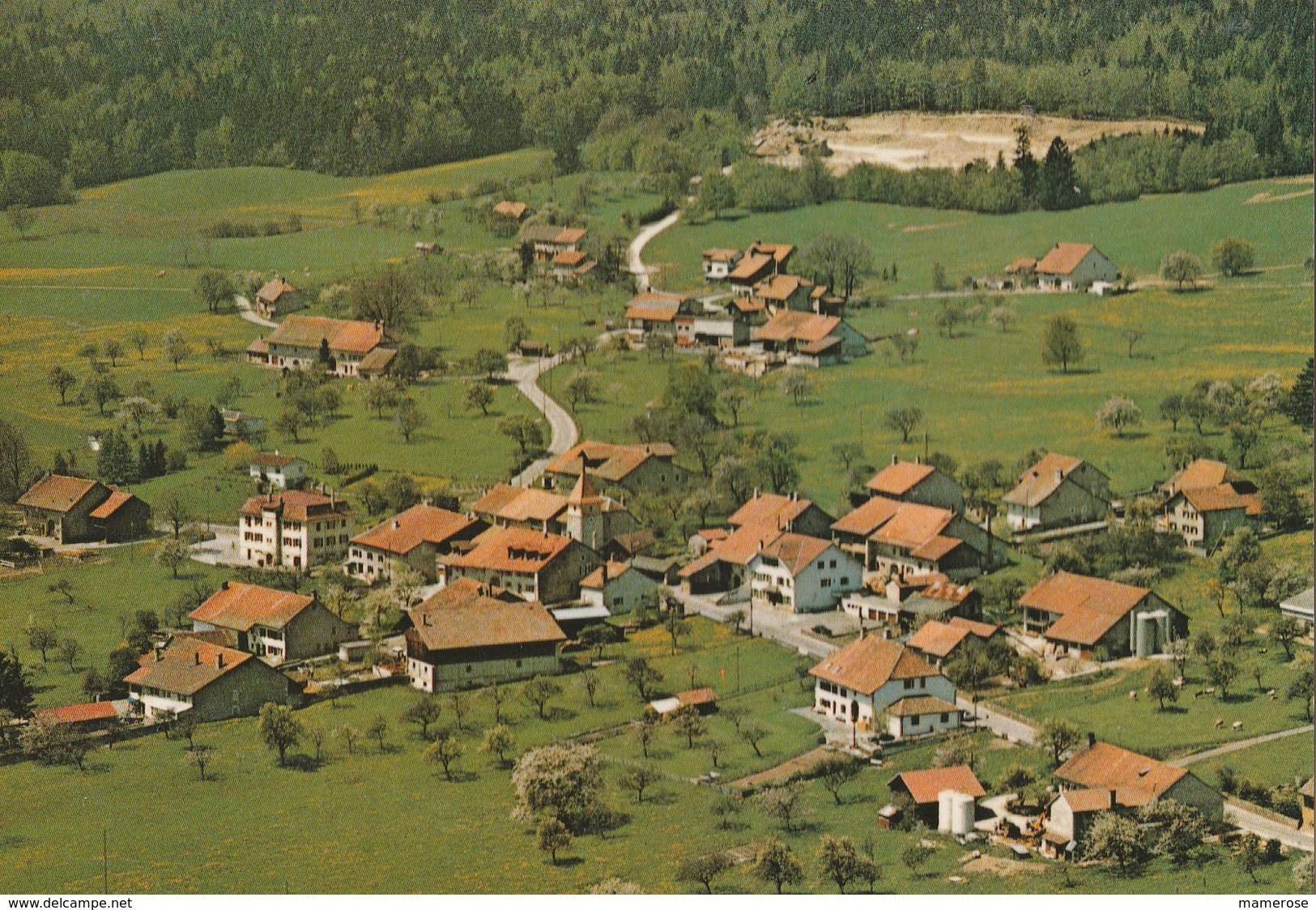 BEROLLE (Suisse: VD Vaud). Vue Aérienne - Rolle