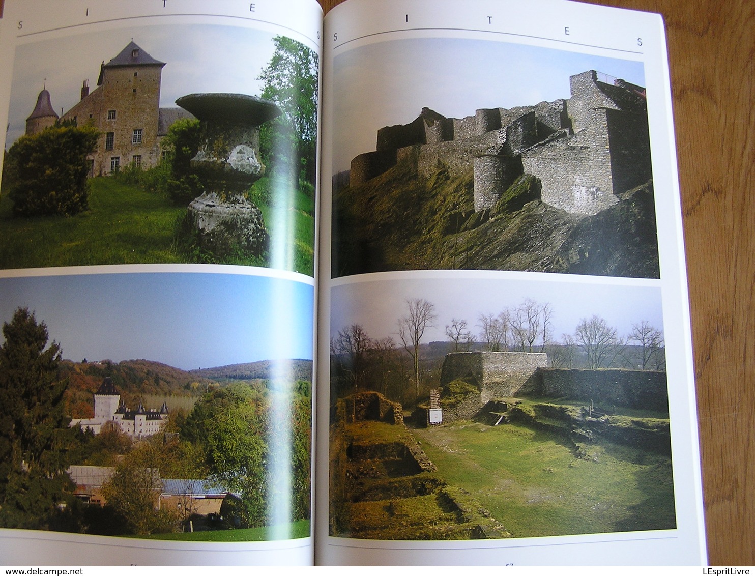 DONJONS MEDIEVAUX DE WALLONIE Vol 5 Luxembourg Régionalisme Bertrix Bouillon Wéris Etalle Chassepierre Neufchâteau Soy