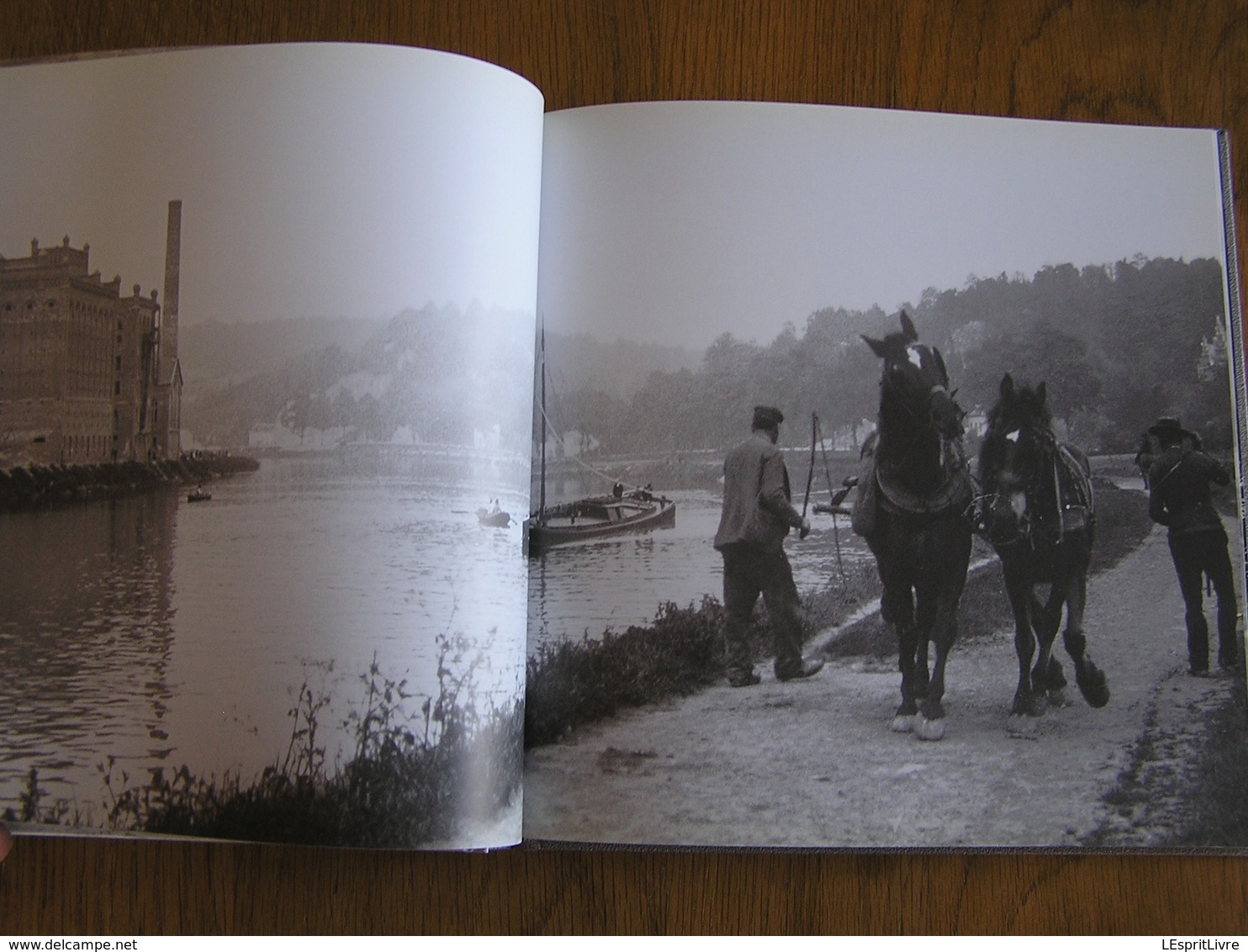 ARCHIVES PHOTOGRAPHIQUES NAMUROISES Tome 1 Régionalisme Photographies Namur Marché Meuse Citadelle Sambre Halage Jambes