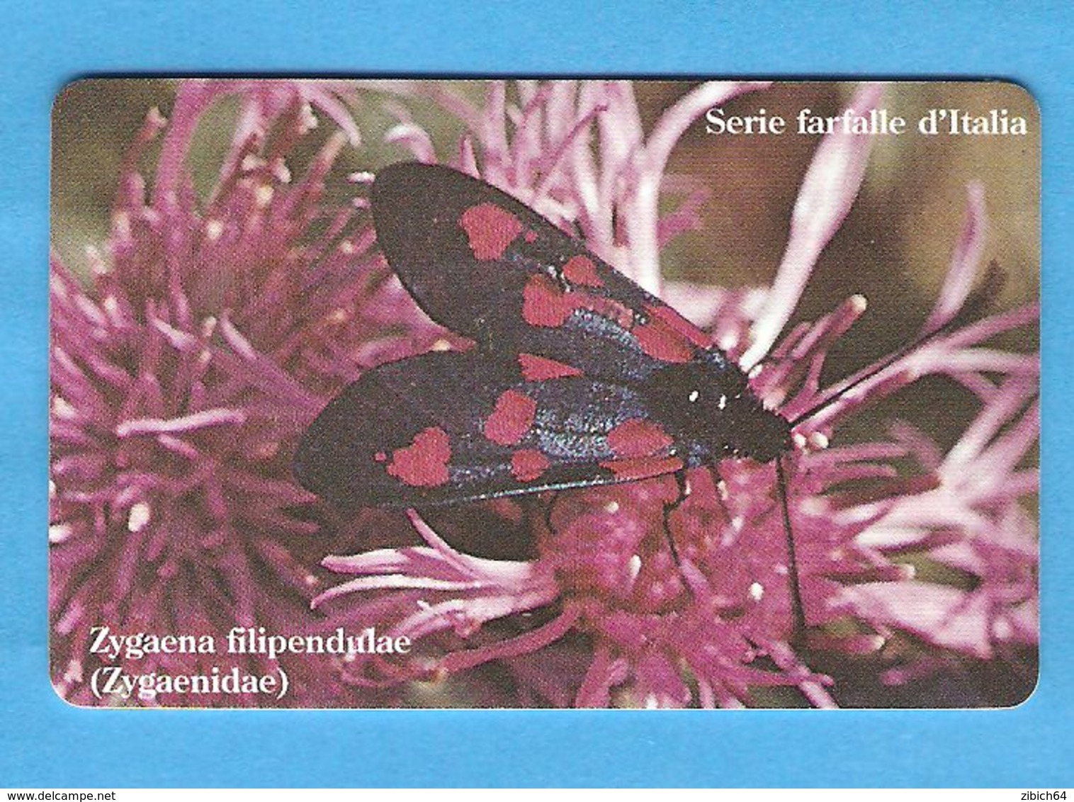 ALBANIA  Prepaid Phonecard MINT - Albanie