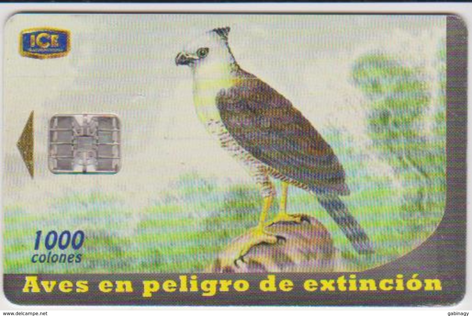 #10 - COSTA RICA-26 - BIRD - 400.000EX. - Costa Rica