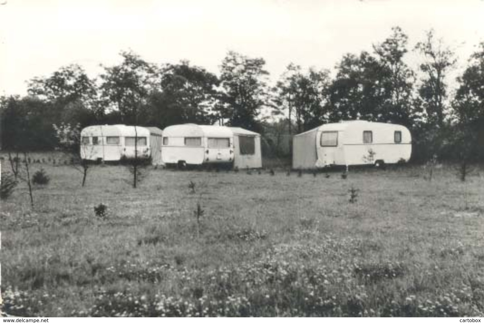 Venray, Maasheeseweg , Camping D'n Ouden Barrier - Venray
