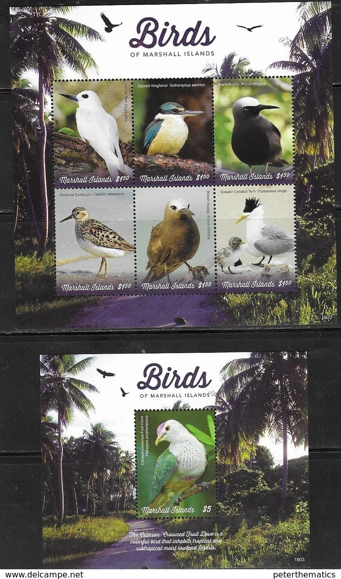 MARSHALL ISLANDS,  2019, MNH, BIRDS, KINGFISHERS, TERNS, DOVES, SHEETLET+S/SHEET, HIGH FV - Autres & Non Classés