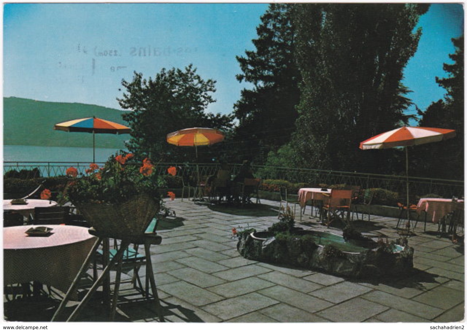 74. Gf. VEYRIER-DU-LAC. Auberge Du Colvert. Terrasse Dominant Le Lac - Veyrier