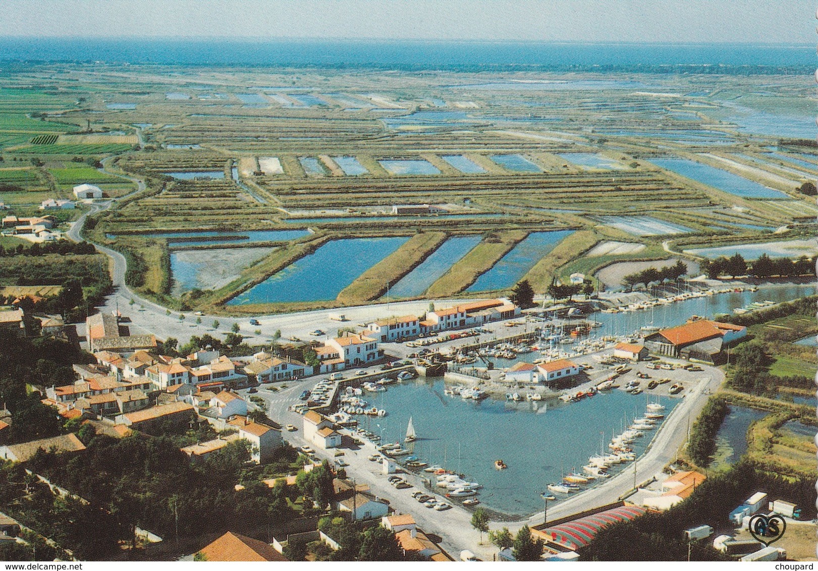 17 -Très Belle Carte Postale Semi Moderne De L'Ile De RE  ARS  Vue Aérienne - Ile De Ré