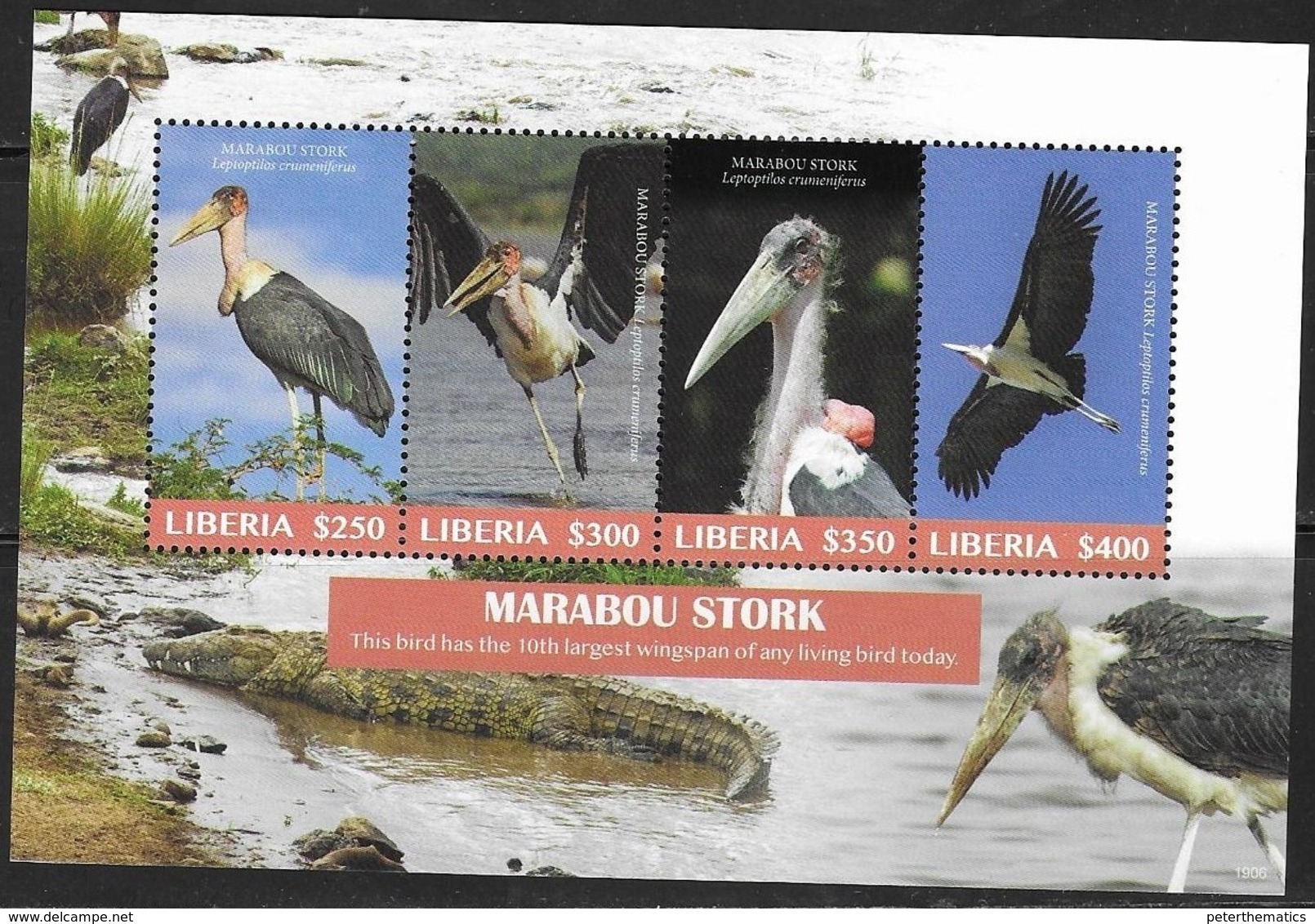 LIBERIA, 2019, MNH, BIRDS,MARABOU STORKS, CROCODILES,  SHEETLET - Storks & Long-legged Wading Birds