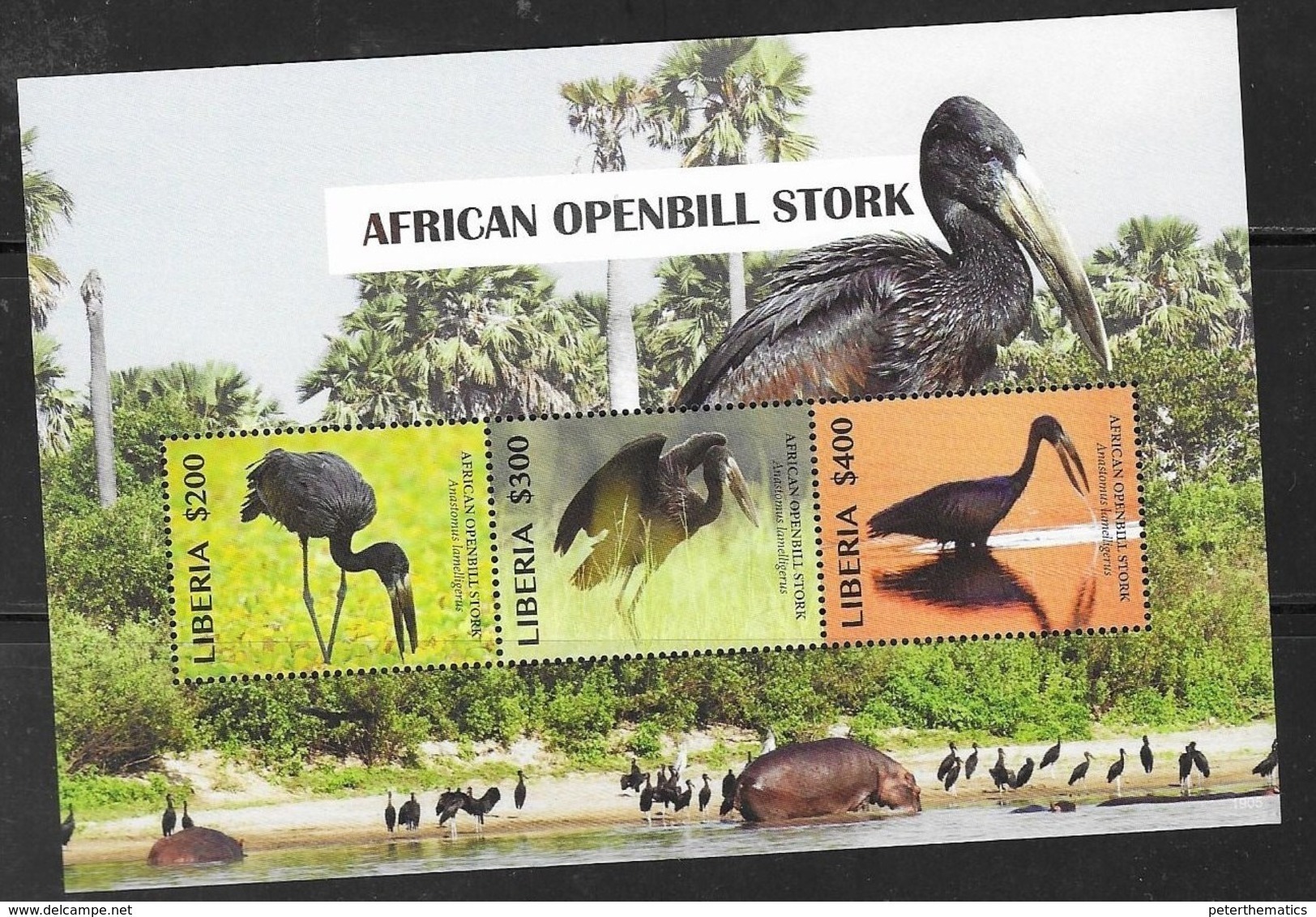 LIBERIA, 2019, MNH, BIRDS, AFRICAN OPENBILL STORKS, HIPPOS,  SHEETLET - Storks & Long-legged Wading Birds