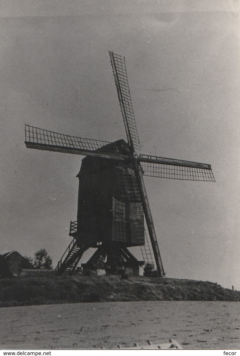 Anderlecht  De  Luizenmolen   Moederkaart Windmolen - Andere & Zonder Classificatie