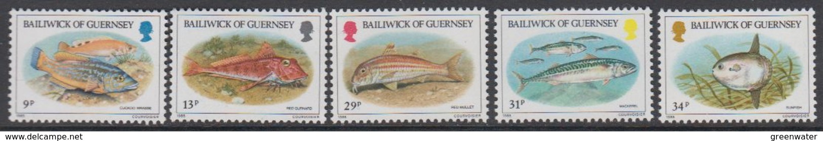 Guernsey 1985 Fishes 5v ** Mnh (42930G) - Guernsey