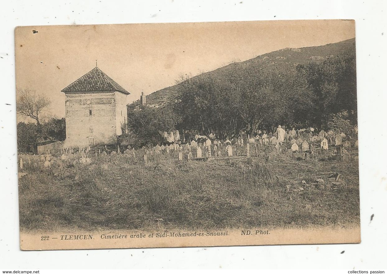 Cp, ALGERIE , TLEMCEN , Cimetière Arabe Et SIDI MOHAMED ES SNOUSSI ,vierge ,ed. ND , N° 222 - Tlemcen