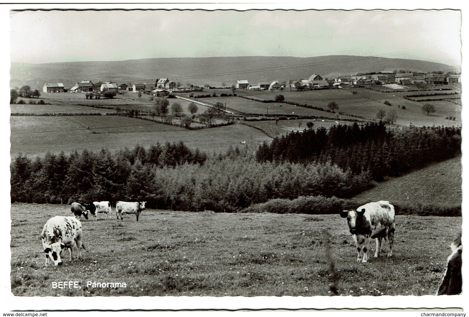 Beffe - Rendeux - Panorama - Circulée -   2 Scans - Rendeux