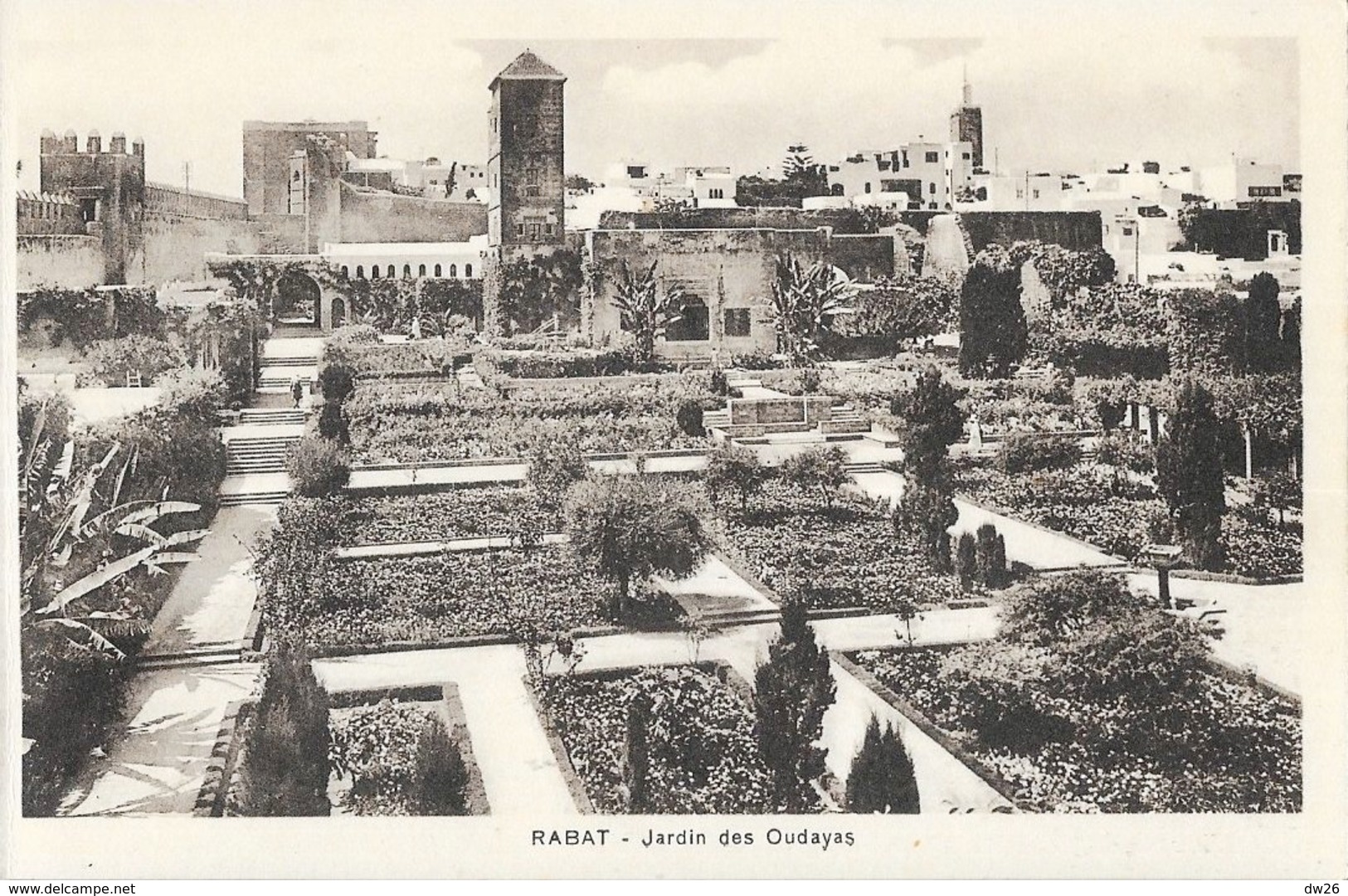 Rabat - Jardin Des Oudayas (ou Oudaïas) Edition L.M. Casablanca - Carte Non Circulée - Casablanca