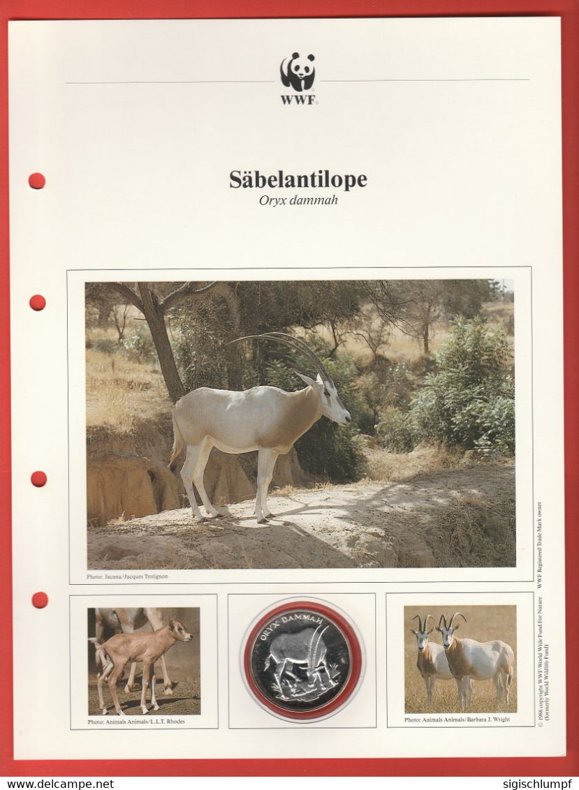 30 JAHRE WWF Silber Gedenkmünze Silver Coin / Ag 999 PP / Tiere Animals Animaux Säbelantilope Oryx Dammah - Sonstige & Ohne Zuordnung