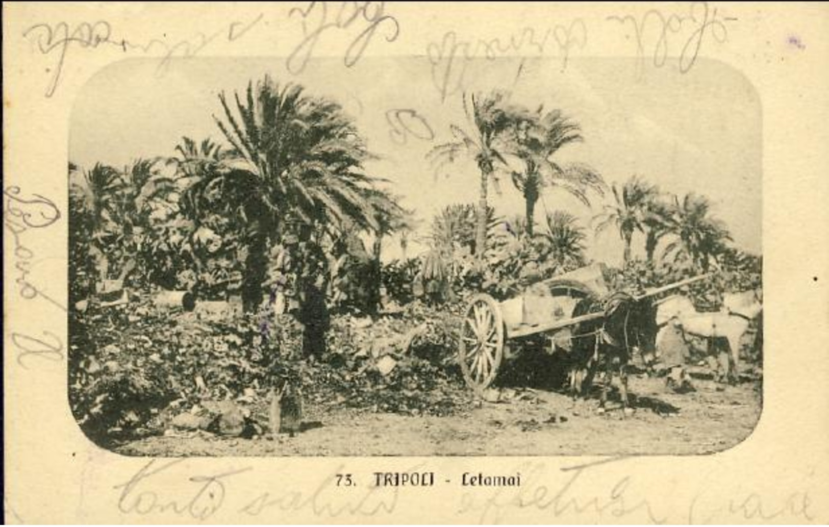 1914-Libia Cartolina Illustrata Tripoli Letamai Affrancata 5c.Leoni Soprastampato Libia Annullato Garian Tripolitania E - Altre Guerre