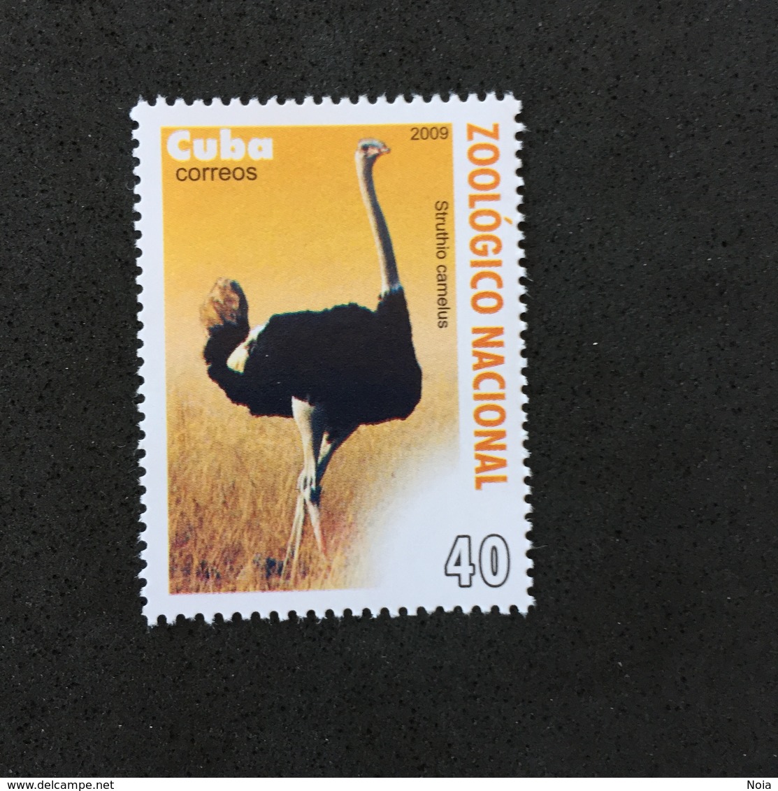 CUBA. BIRDS. MNH. 4R1001G - Ostriches