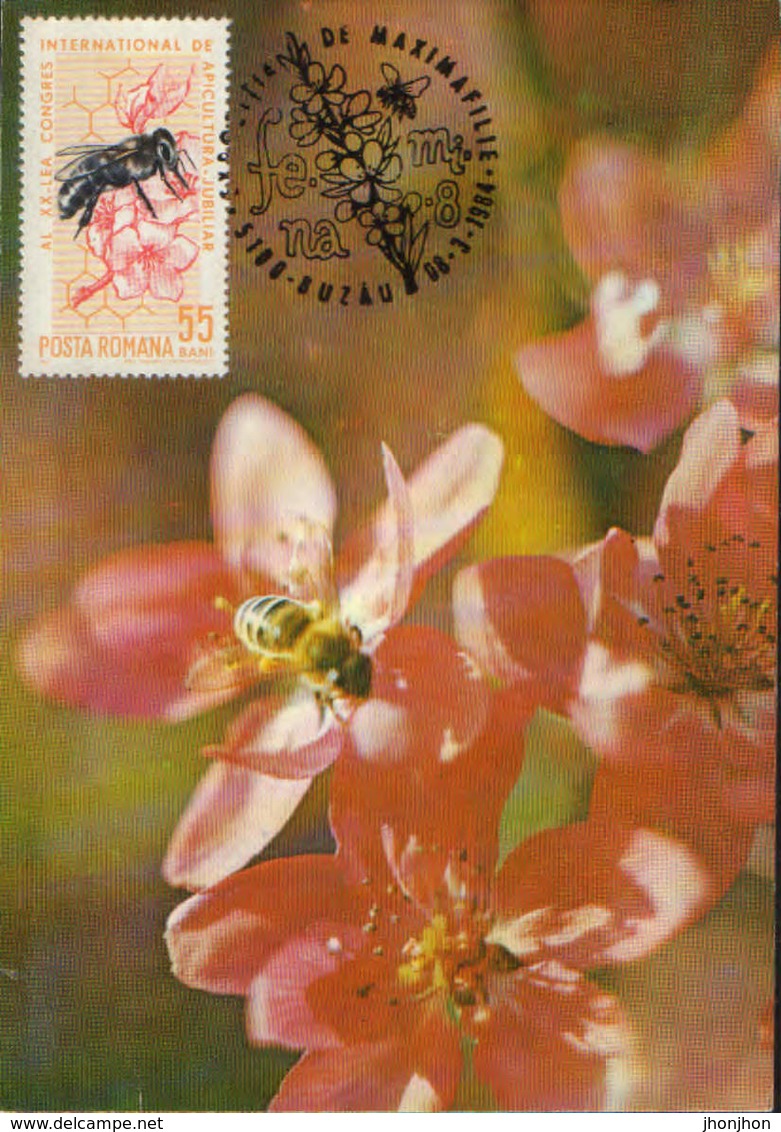 Romania - Maximum Postcard 1984 - Exposition Of Maxima - Bees - Api