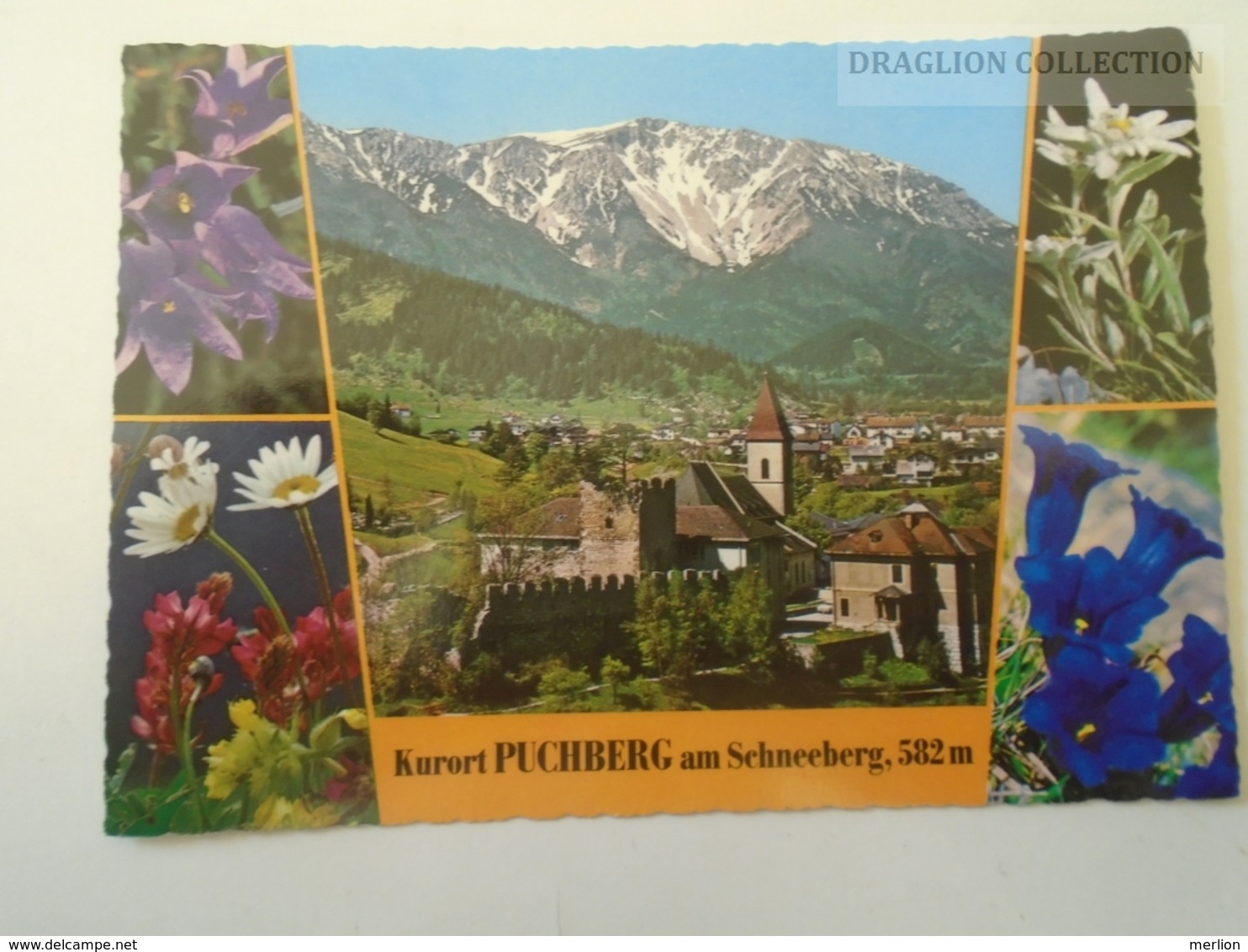 D163977 Austria  Lot Of 3 Postcards Puchberg Am Schneeberg - Schneeberggebiet