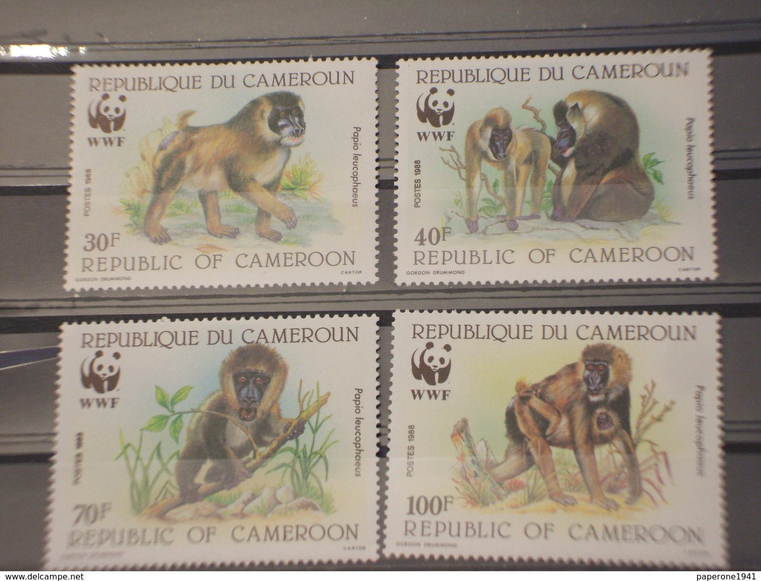 CAMEROUN - 1988 WWF SCIMMIE 4 VALORI  - NUOVI(++) - Camerun (1960-...)