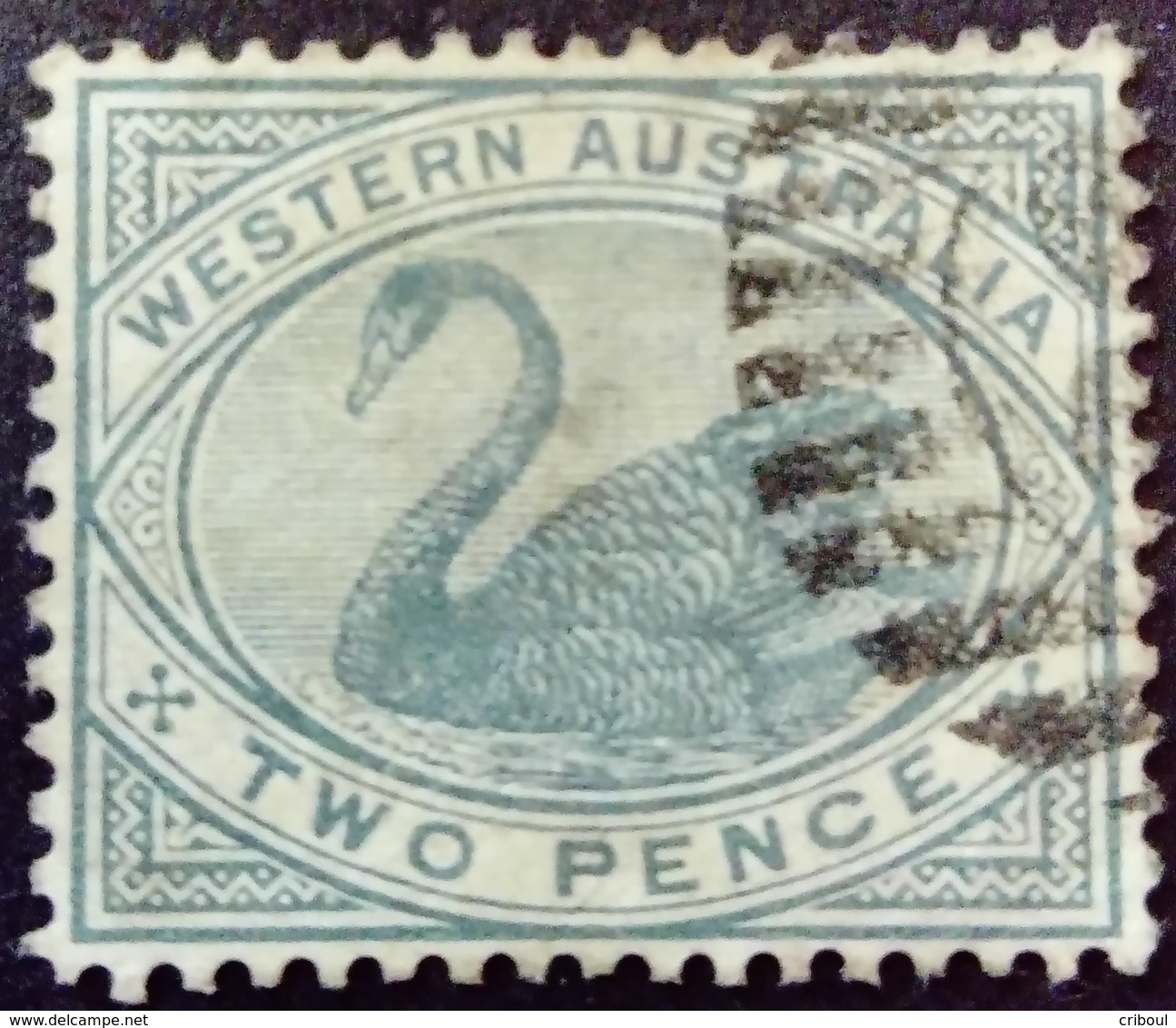 Australie Occidentale Western Australia 1885 Filigrane Couronne CA Watermark Crown CA Yvert 44 O Used - Used Stamps