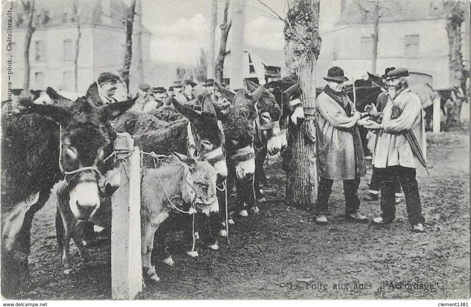 La Foire Aux Anes L'accordage Photo Arambourou Chatellerault - Chatellerault