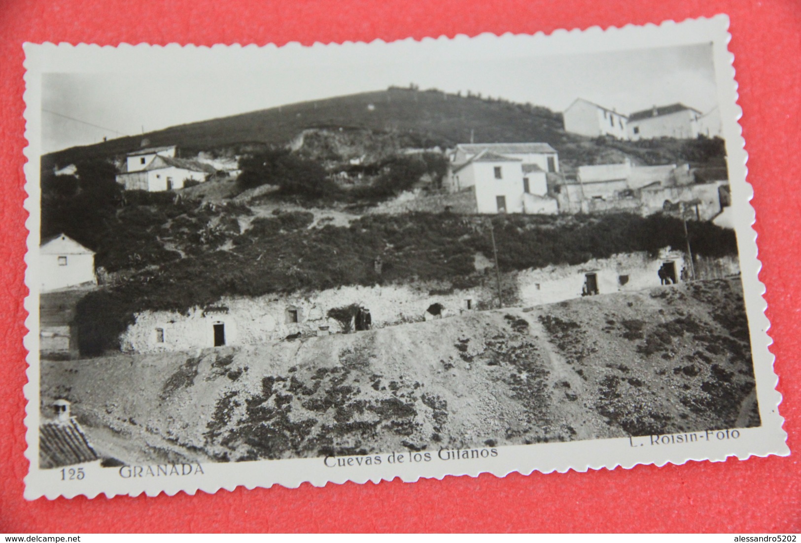 Andalucia Granada Cuevas De Los Gitanos Foto Roisin N. 125 NV - Otros & Sin Clasificación