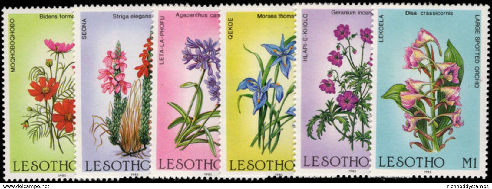 Lesotho 1985 Wild Flowers Unmounted Mint. - Lesotho (1966-...)