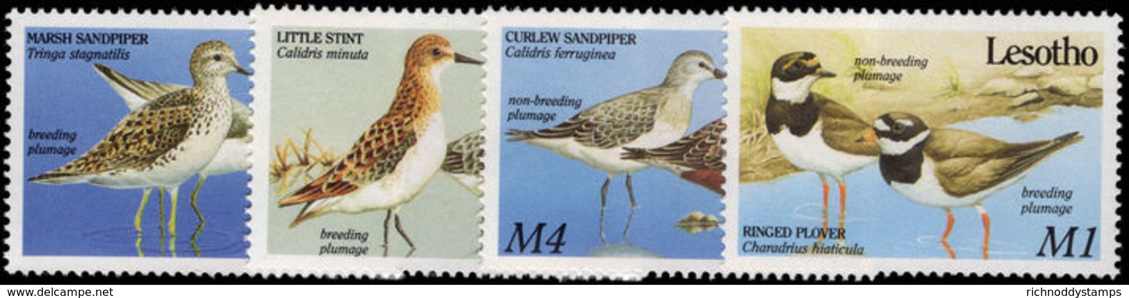 Lesotho 1989 Migrant Birds Unmounted Mint. - Lesotho (1966-...)