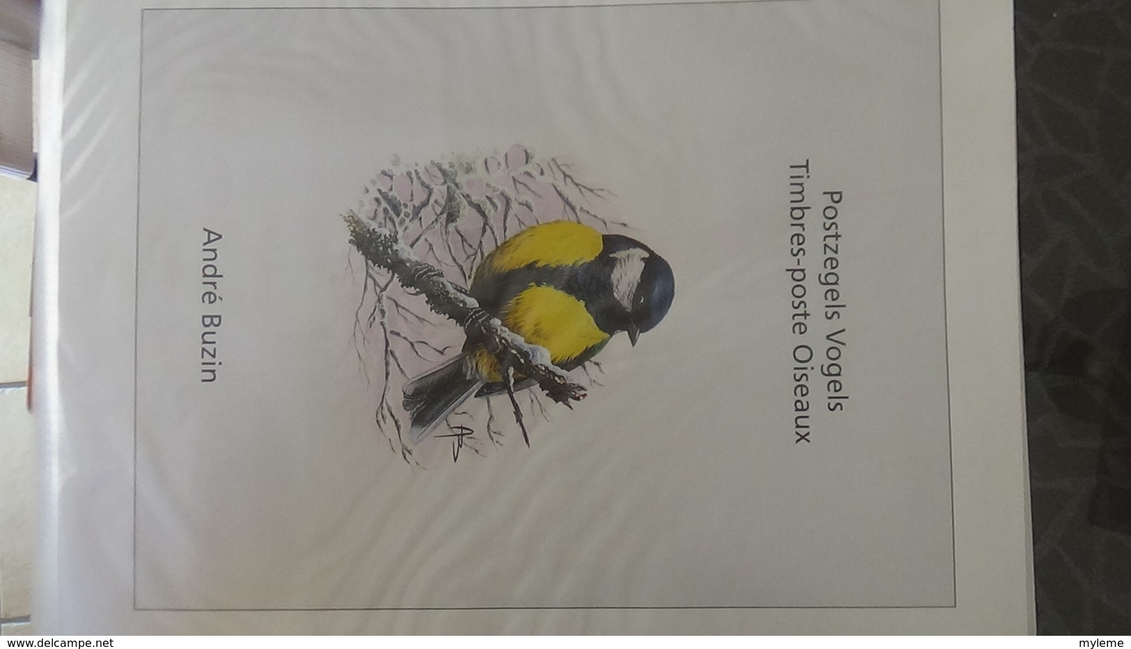 Belle étude Sur Les Oiseaux Par L'artiste André BUZIN. Super Travail En Timbres Et Blocs ** A Saisir !!! - Collections (with Albums)