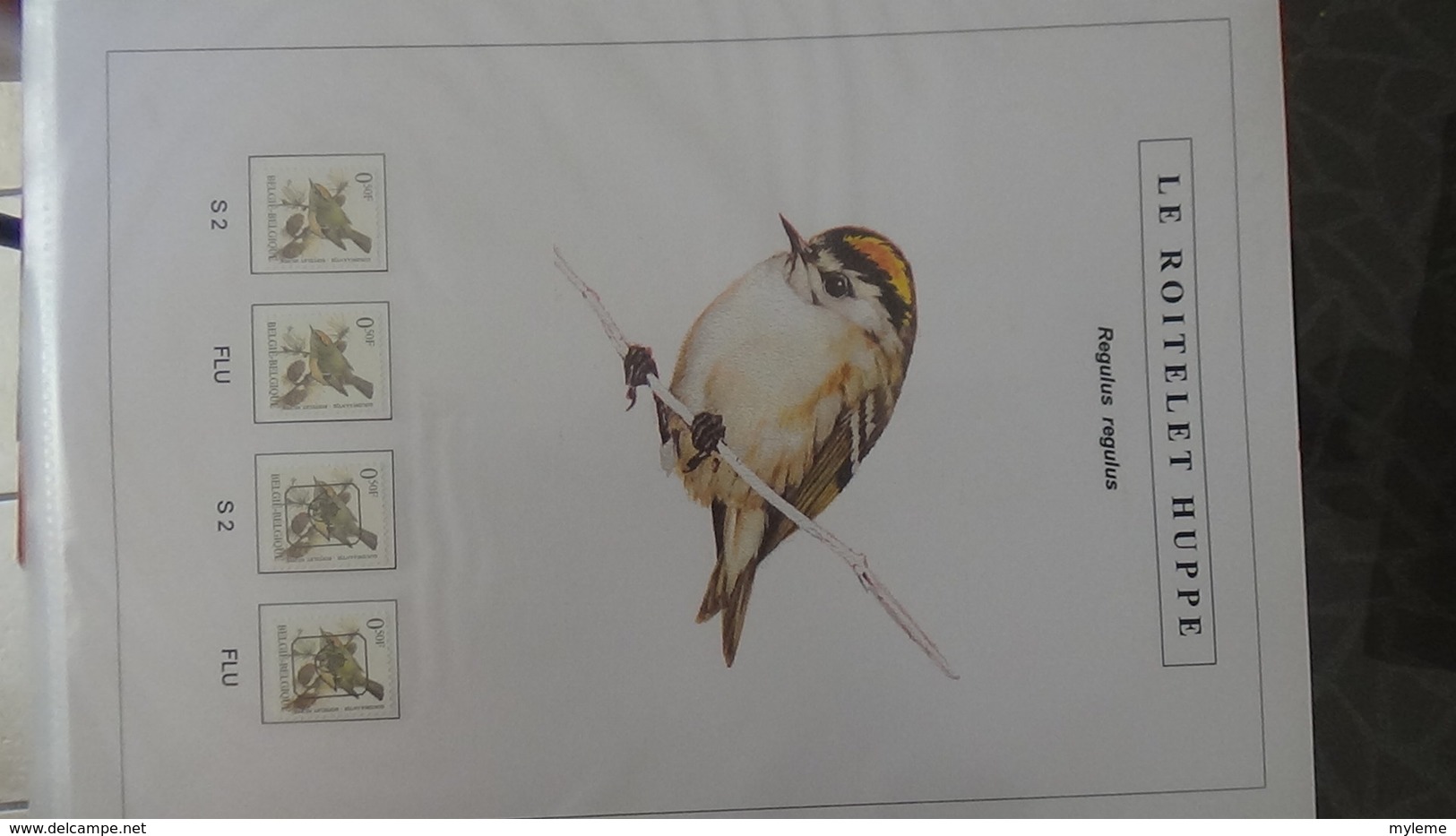 Belle étude Sur Les Oiseaux Par L'artiste André BUZIN. Super Travail En Timbres Et Blocs ** A Saisir !!! - Collections (en Albums)