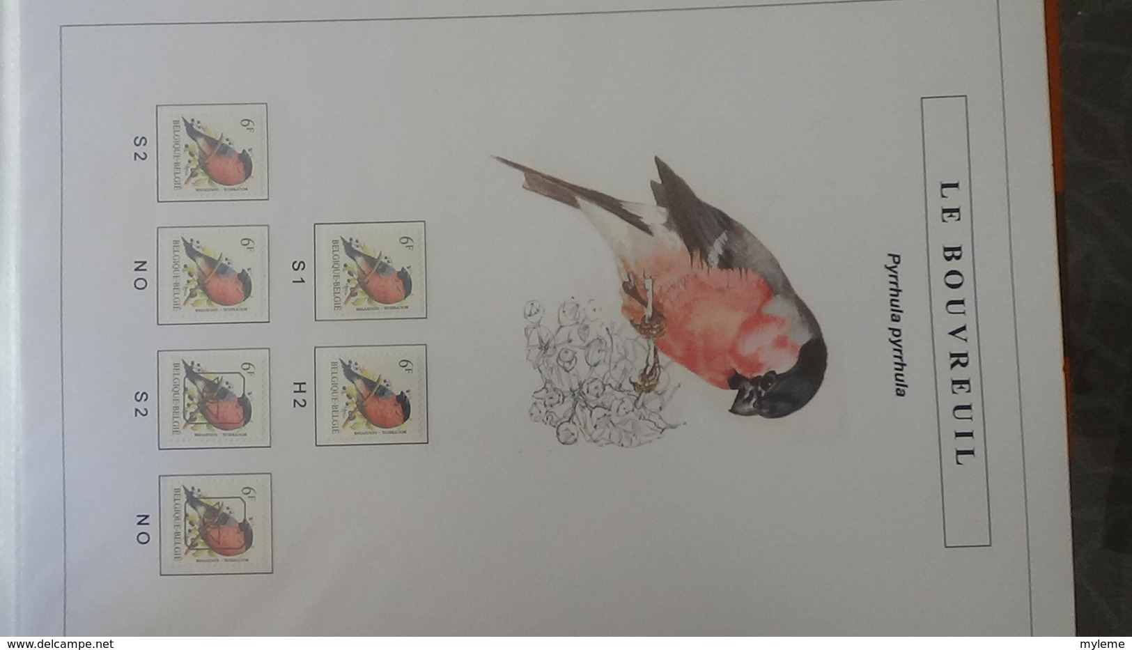 Belle étude sur les oiseaux par l'artiste André BUZIN. Super travail en timbres et blocs ** A saisir !!!