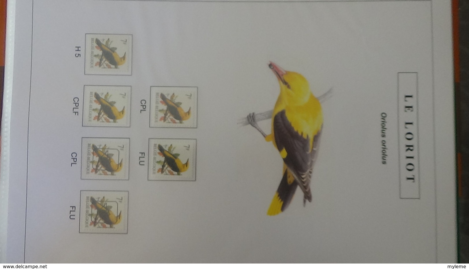 Belle étude sur les oiseaux par l'artiste André BUZIN. Super travail en timbres et blocs ** A saisir !!!