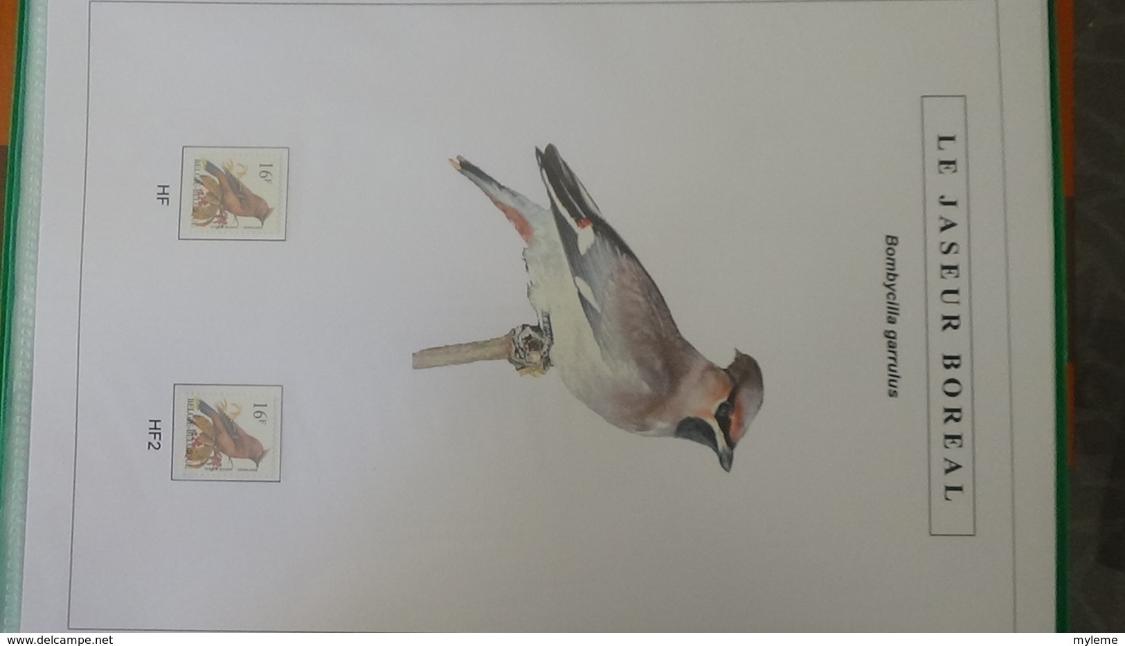 Belle étude sur les oiseaux par l'artiste André BUZIN. Super travail en timbres et blocs ** A saisir !!!