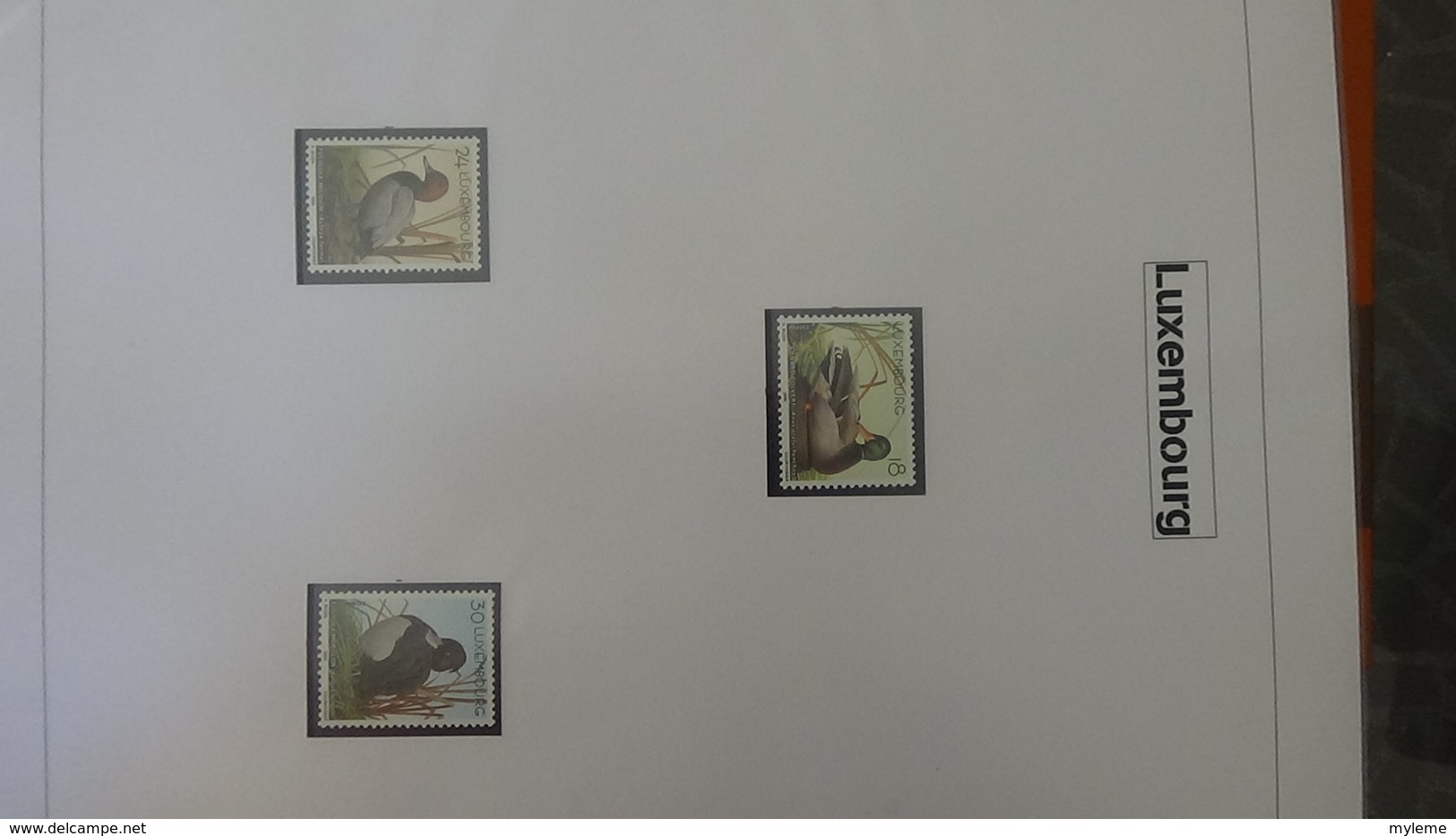 Belle étude sur les oiseaux par l'artiste André BUZIN. Super travail en timbres et blocs ** A saisir !!!
