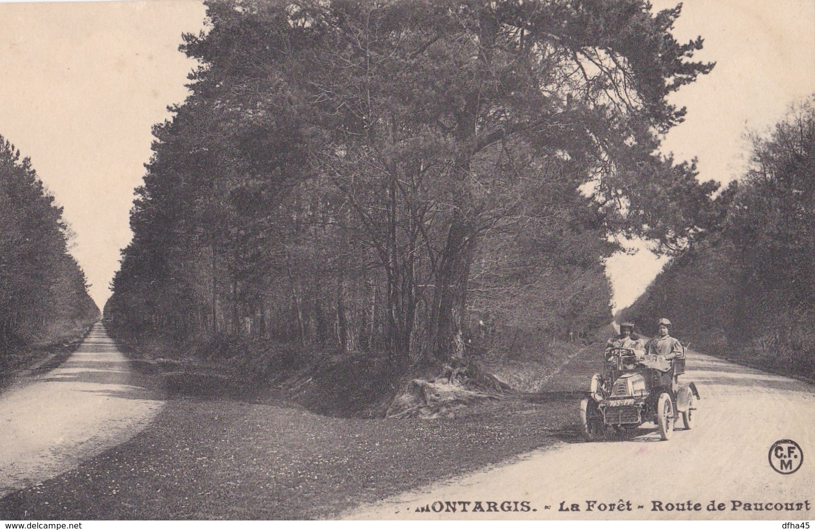 Montargis : La Forêt - Route De Paucourt - Montargis