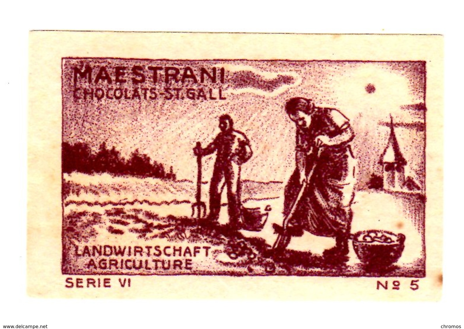 Chromo Vignette, Chocolat Maestrani, Suisse, Schweiz, Agriculture - Autres & Non Classés