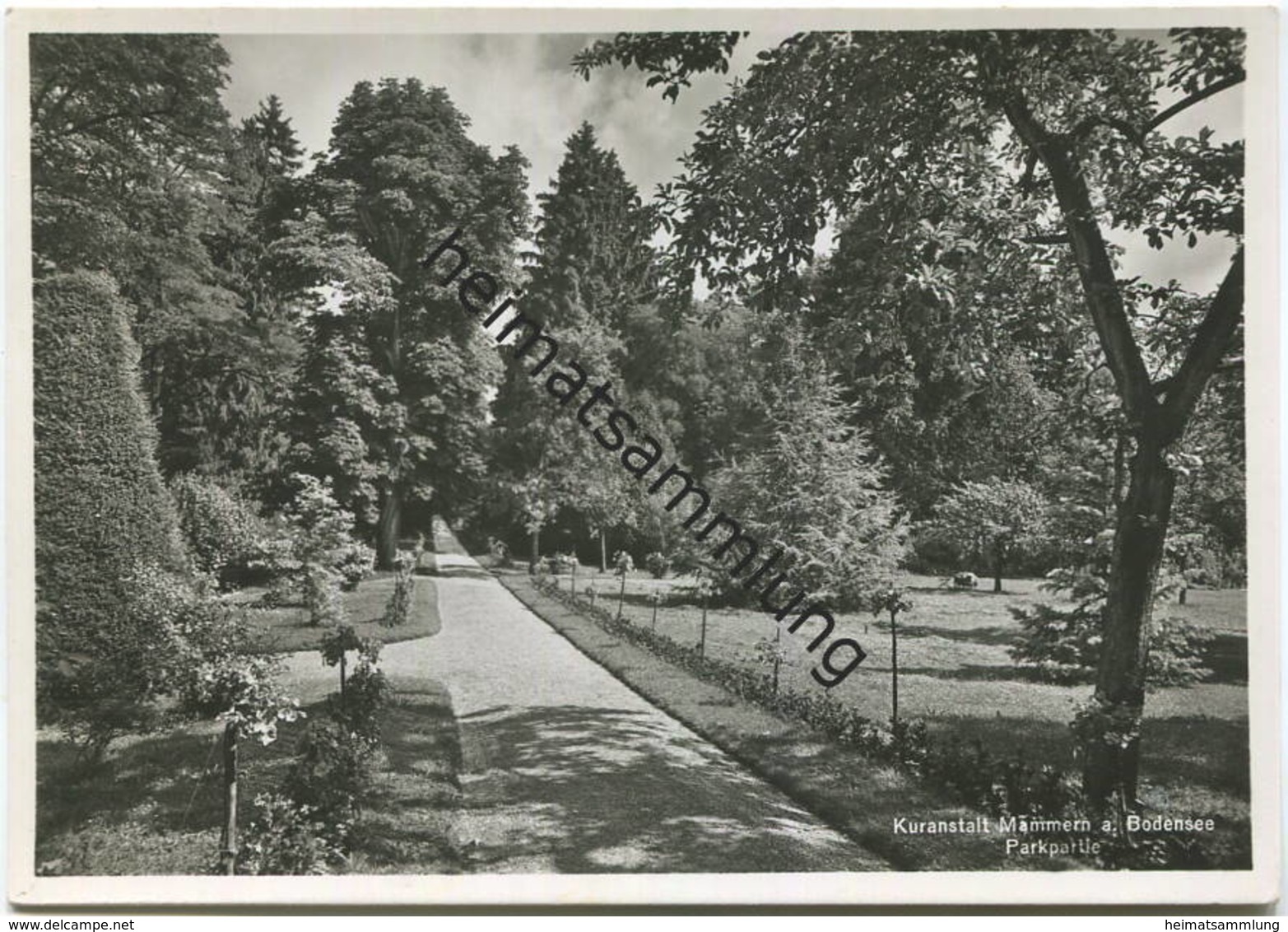 Mammern - Kuranstalt - Parkpartie - Foto-AK Grossformat - Verlag Photoglob-Wehrli Zürich Gel. 1940 - Mammern