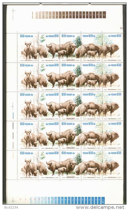 POLAND 1981 PROTECTION OF EUROPEAN POLISH BISON REINTRODUCE REPOPULATE ENVIRONMENT PROTECTION COMPLETE SHEET OF 50 NHM - Hojas Completas