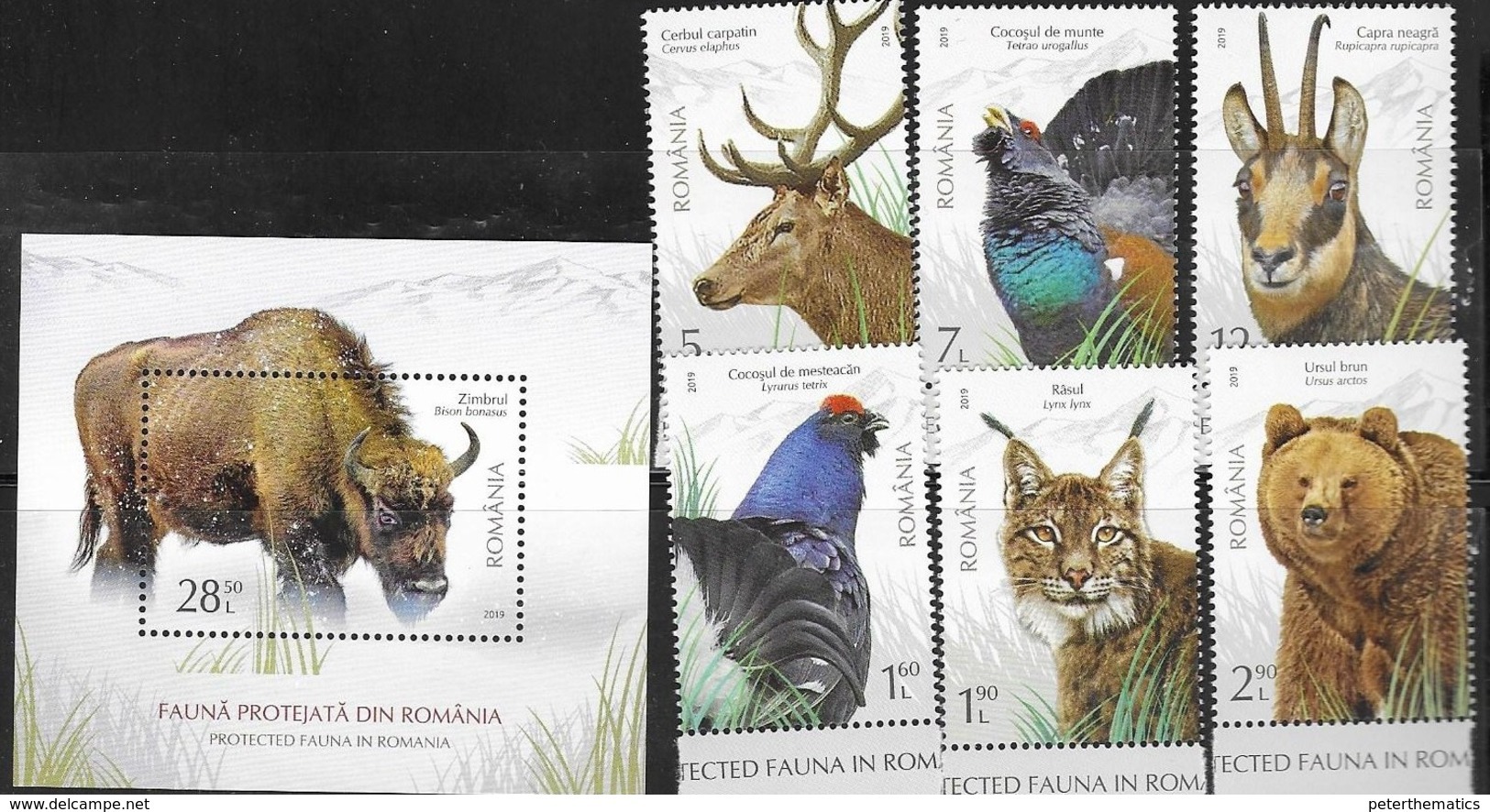 ROMANIA, 2019, MNH, PROTECTED FAUNA, BIRDS, BISON, FELINES, BEARS, DEER, LYNX, CHAMOIS, 6v+S/SHEET - Other & Unclassified