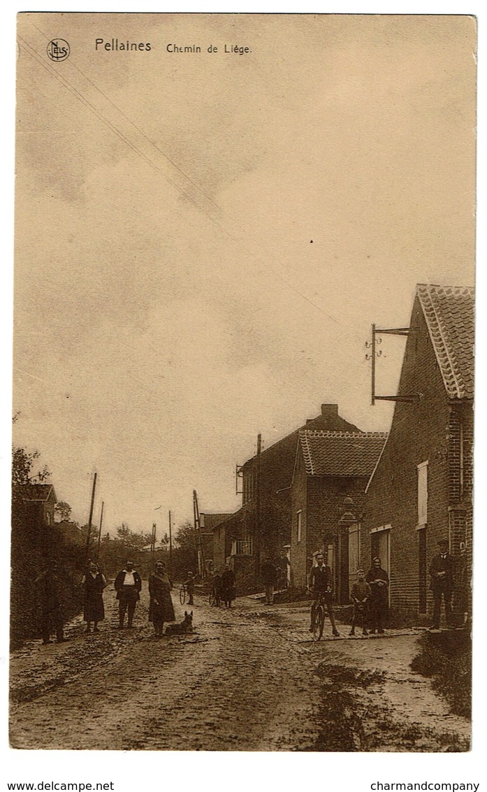 Pellaines - Chemin De Liège - Edit. Cartillier Photographe Lincent - 2 Scans - Lincent