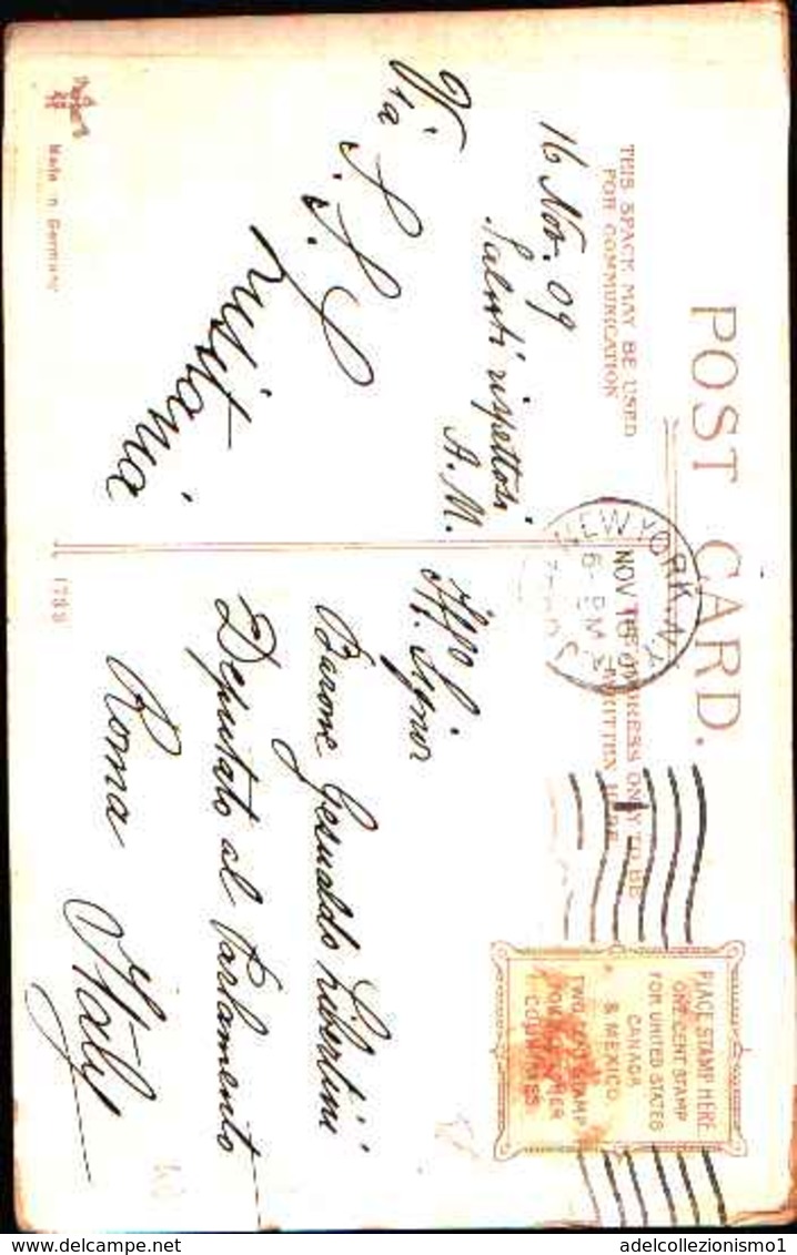 4442) Cartolina Di New York- St. Patrick's Cathedral -viaggiata 1909 - Statua Della Libertà