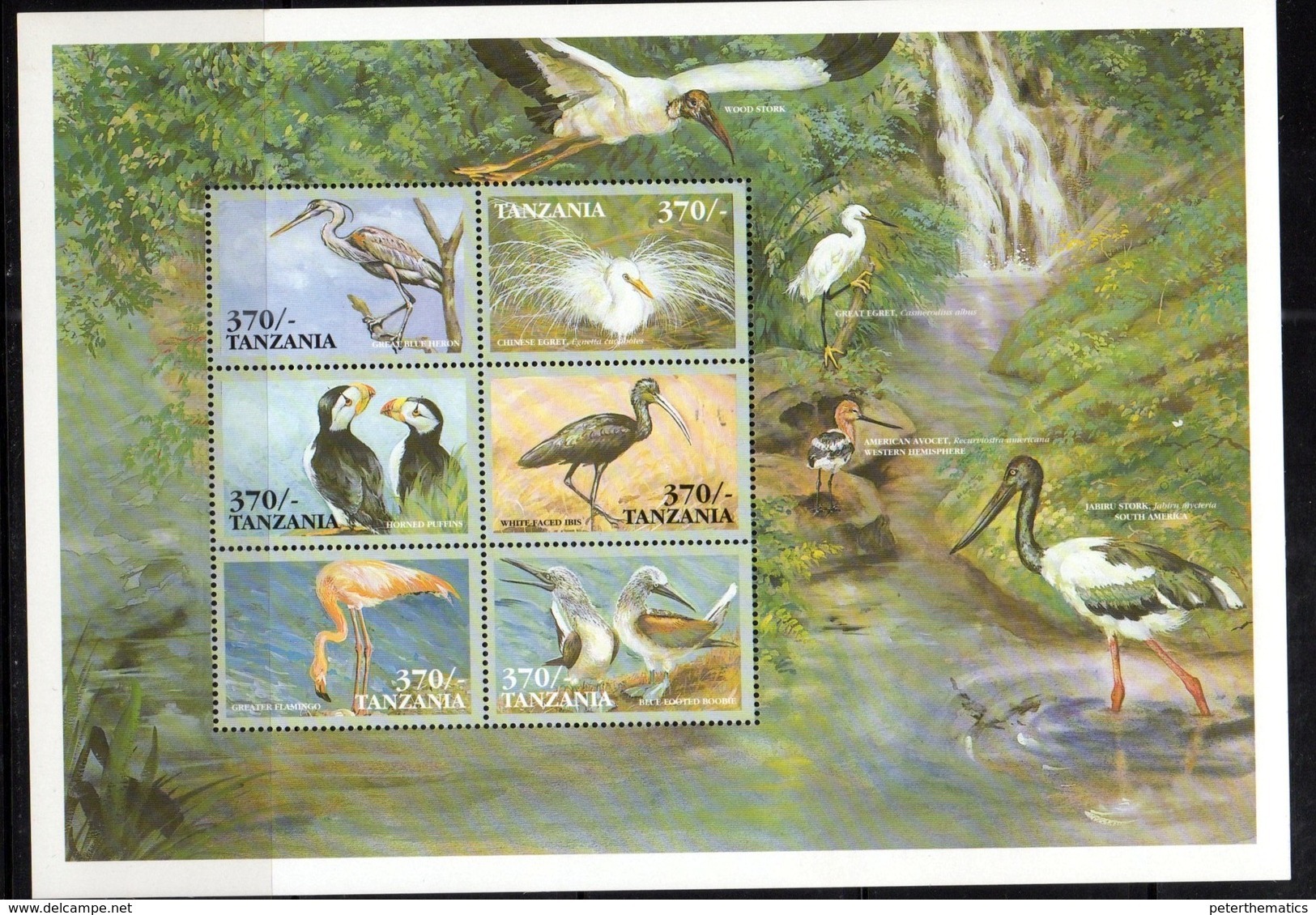 TANZANIA, MNH,BIRDS, FLAMINGO, PUFFINS, EGRETS,  SHEETLET - Flamingo