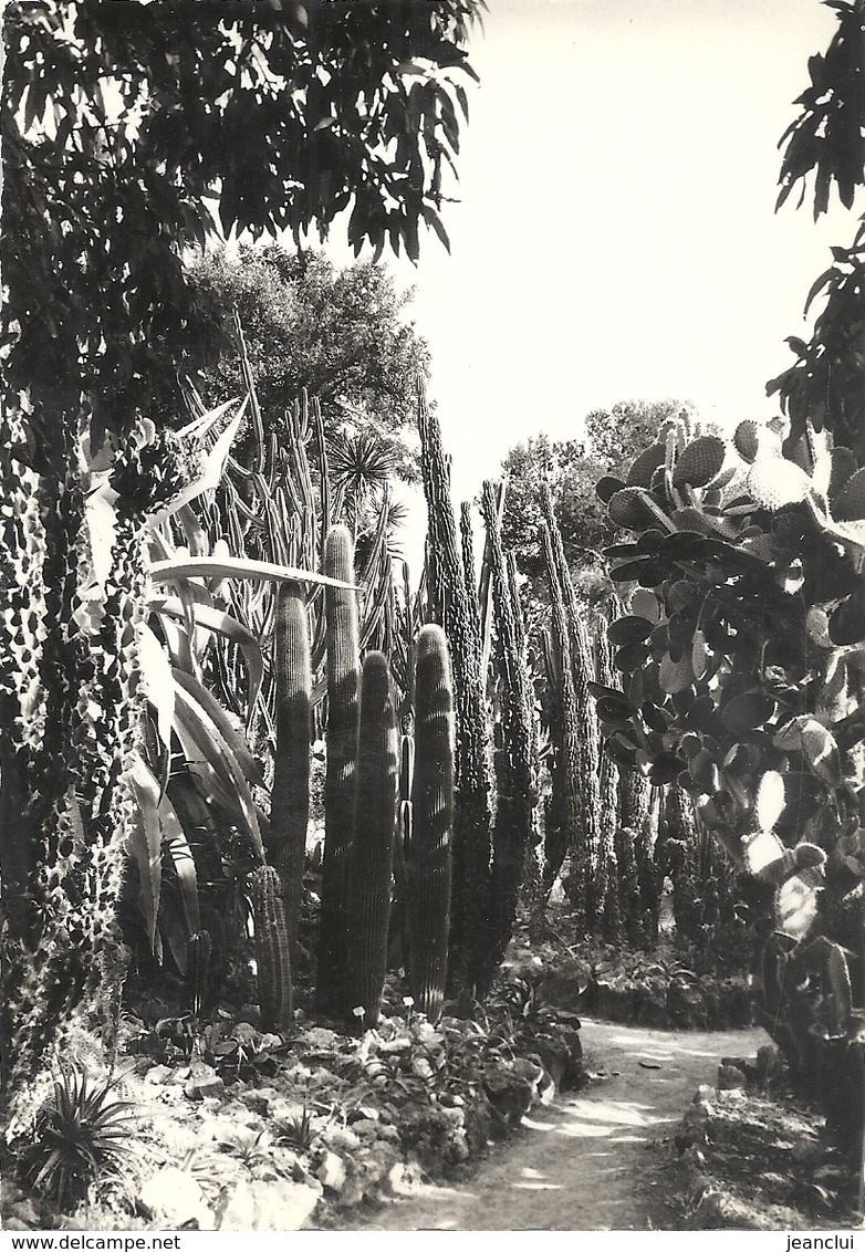 CPM. SAINT-JEAN-CAP-FERRAT . VILLA MUSEE ILE DE FRANCE . LE JARDIN EXOTIQUE . CARTE NON ECRITE - Saint-Jean-Cap-Ferrat