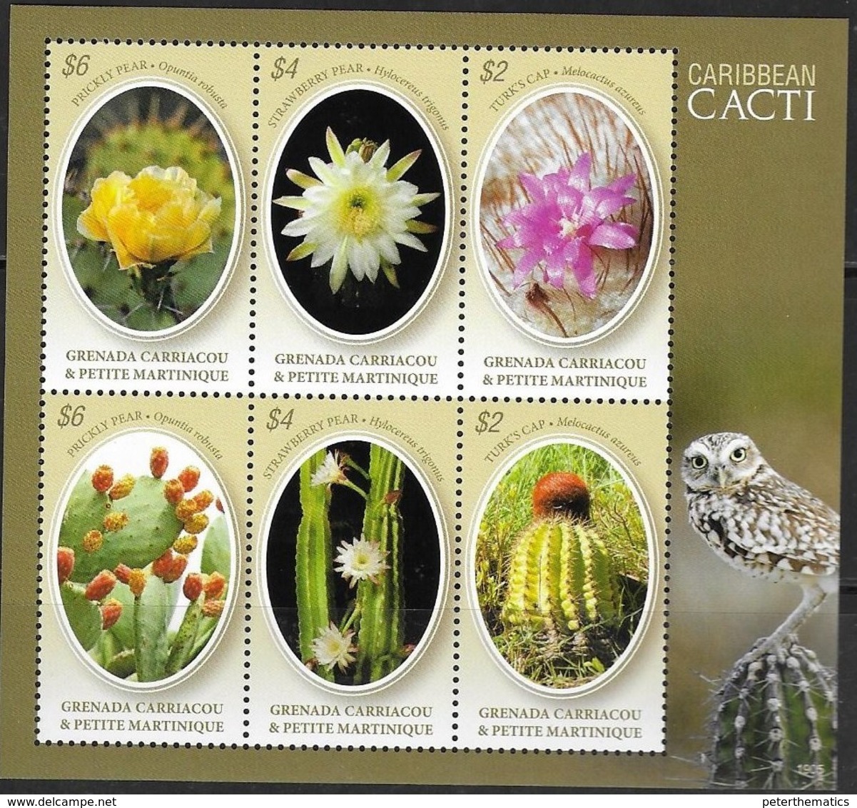 GRENADA CARRIACOU AND PETITE MARTINIQUE, 2019, MNH, CACTI, OWLS, SHEETLET - Cactus