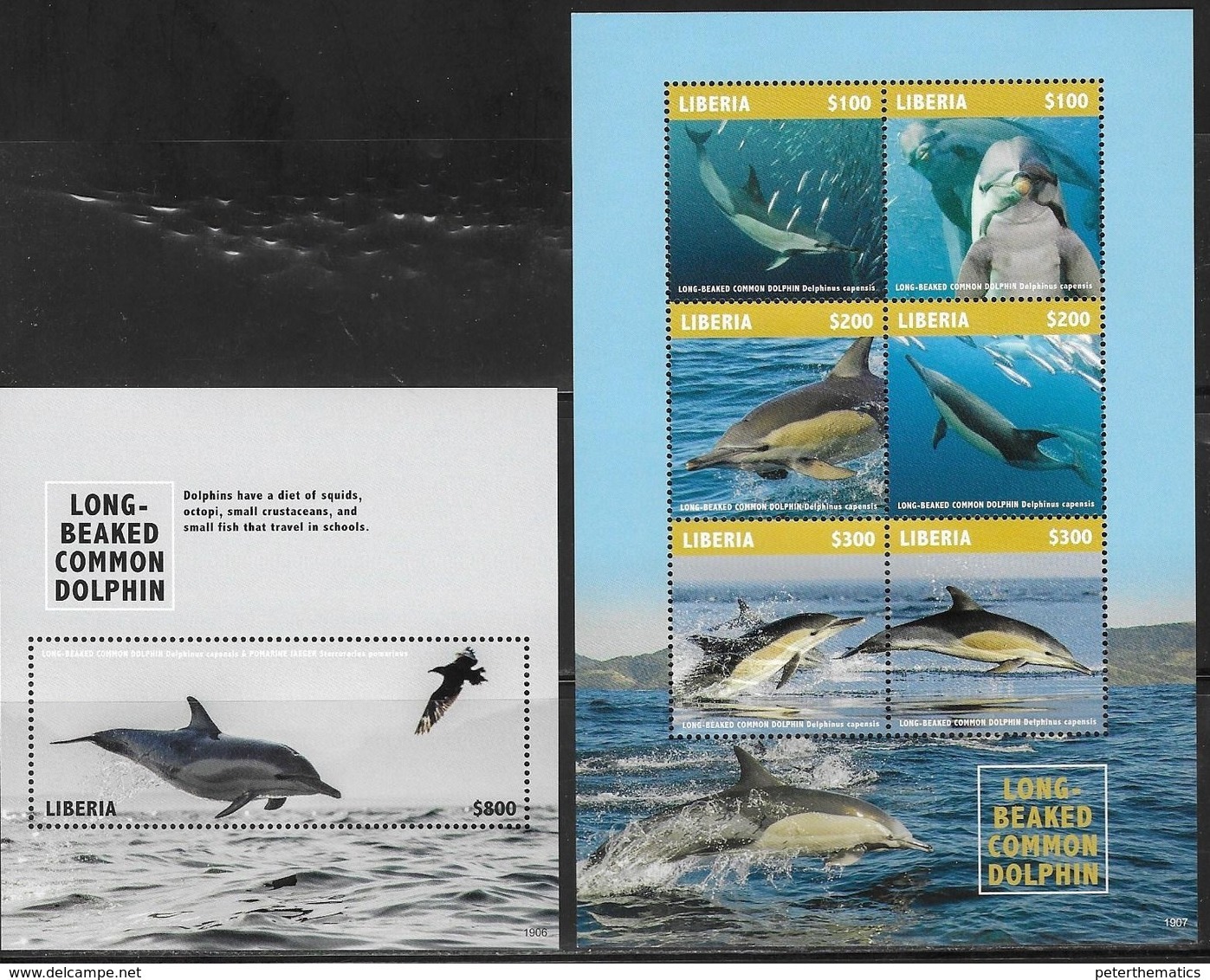 LIBERIA, 2019, MNH,MARINE LIFE, DOLPHINS, LONG-BEAKED COMMON DOLPHINS,SHEETLET+ S/SHEET, HIGH FV - Dolphins