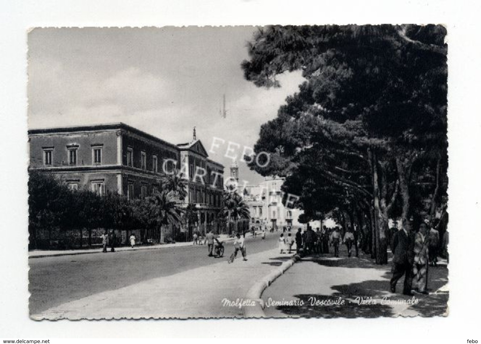 Molfetta Seminario Vescovile  Villa Comunale Animata Viaggiata 1957 - Molfetta