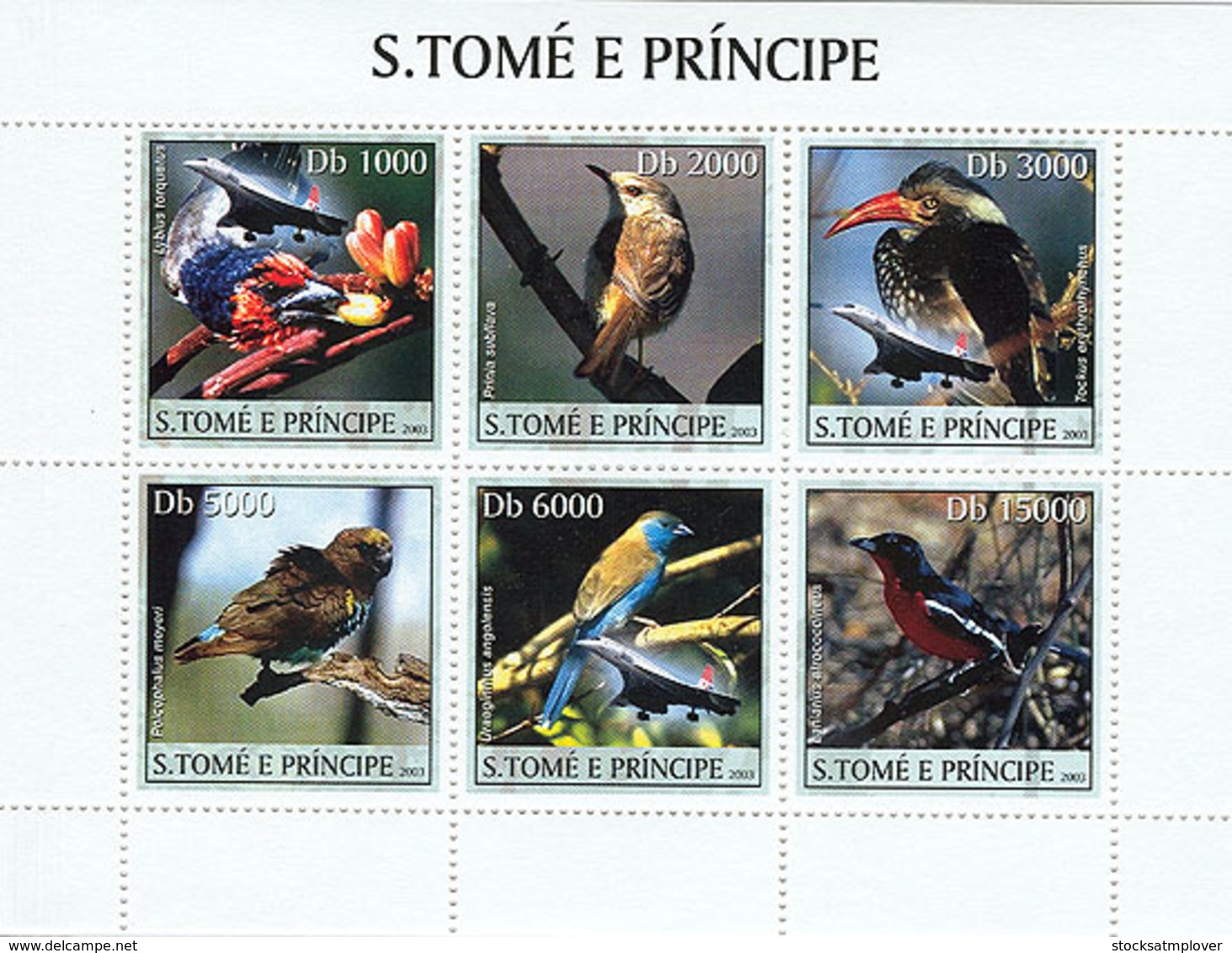 Sao Tome 2003 Fauna Birds & Concorde - Sao Tome Et Principe