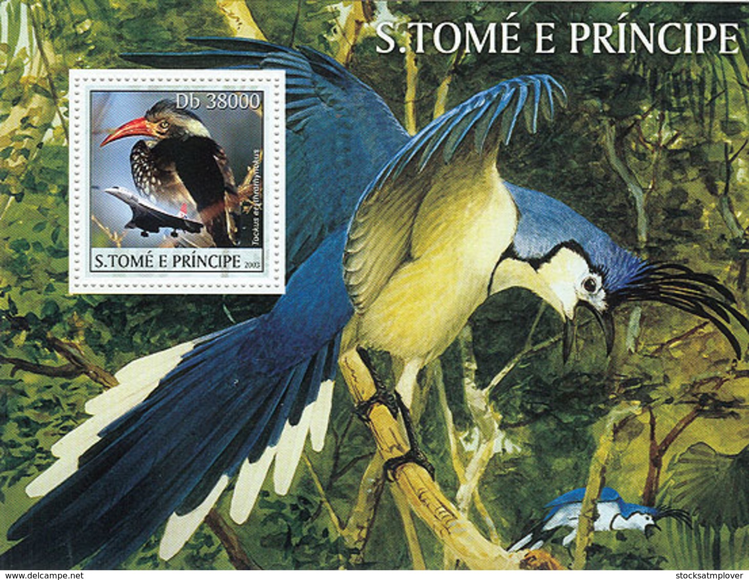 Sao Tome 2003 Fauna Birds & Concorde - Sao Tome And Principe